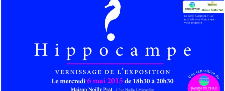 Vernissage de l’exposition Hippocampe – 6 mai 2015 – Marseillan