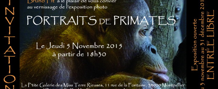 Expo photos Bruno Fit à la galerie des Miss terres Rieuses / 3 novembre – 31 decembre 2015