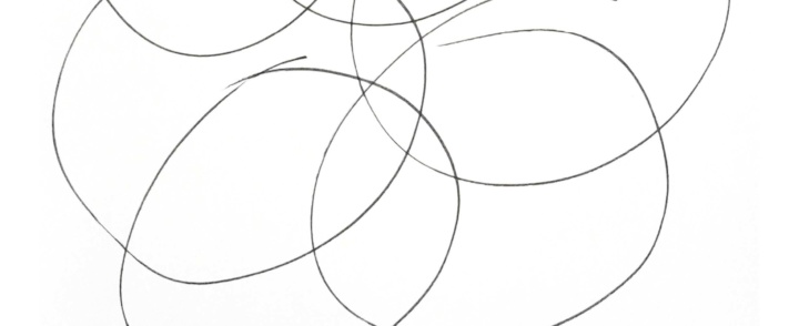 Lise Chevalier expose : CerCles Confondus du 1er au 23 Avril 2016 – Montpellier/Sète/Nîmes